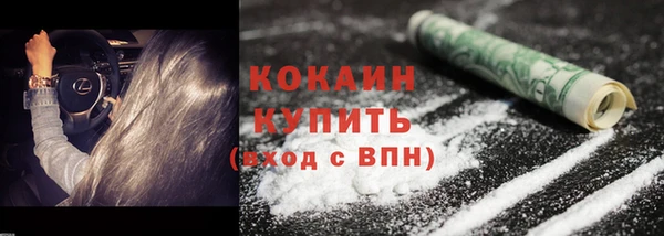 крисы Снежногорск