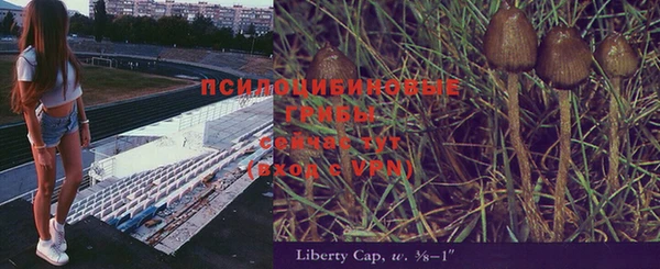 винт Сосновоборск