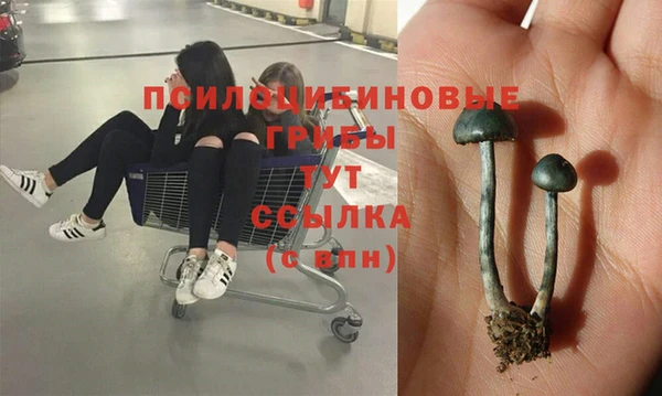 бутират Слюдянка