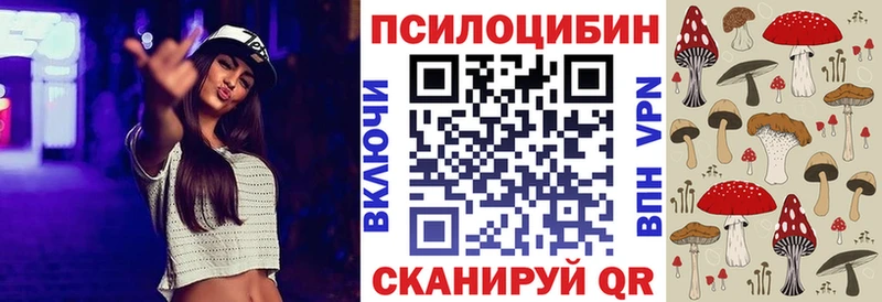 Псилоцибиновые грибы Cubensis  Купить  Дудинка 